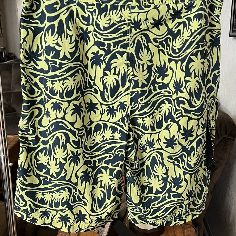 Structure Men’s Swim Trunks